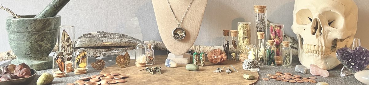 Selection of oddities, natural specimens and hand made jewelry
